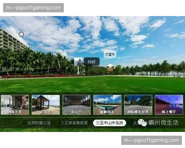 多路并发流处理模块演进 支撑全景视角即时切换